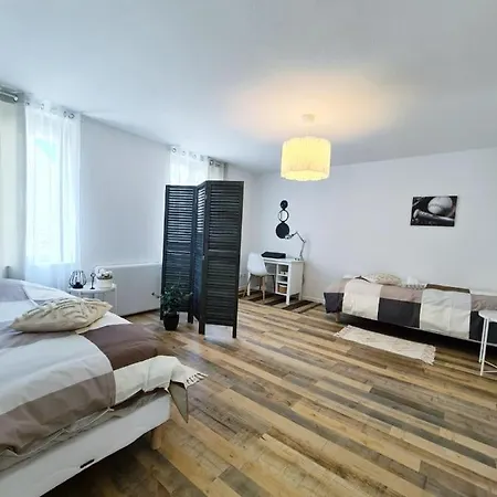 アパート Le Raffine-parking Prive-proche Frontiere Bale サン・ルイ